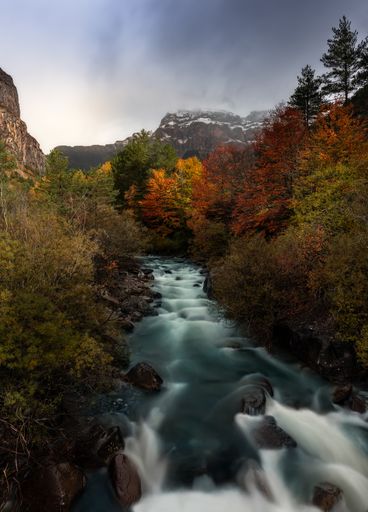 A vertical shot of beautiful autumn colors of trees along a river