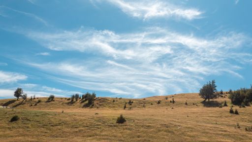 A beautiful view of a landscape with fields of grass near Patagonia, Chile