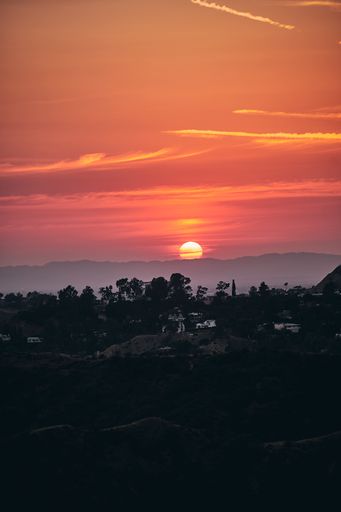 A vertical shot of a beautiful sunset coloring the sky, Los Angeles, California