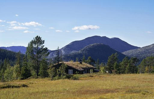 A typical Norwegian rural cottage with breathtaking landscape and beautiful greenery in Norway