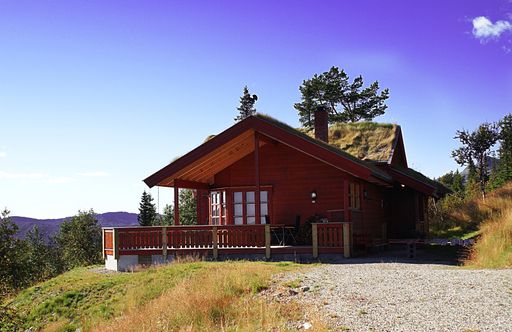 A Norwegian rural cottage in a beautiful green land surrounded by breathtaking greenery in Norway