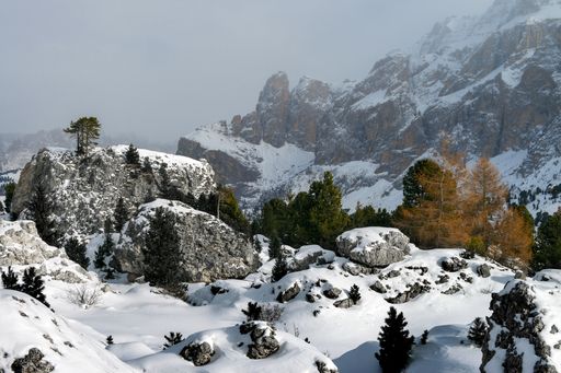 A beautiful scenery of high rocky cliffs and trees covered with snow in the Dolomites