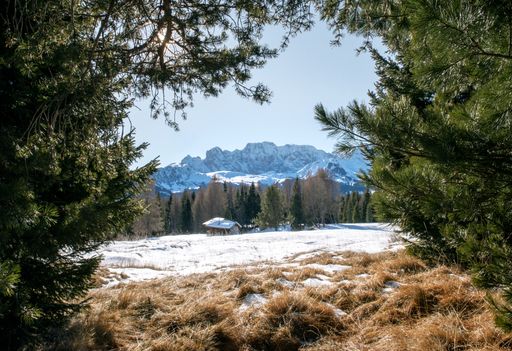 A beautiful scenery of high rocky cliffs and trees covered with snow in the Dolomites