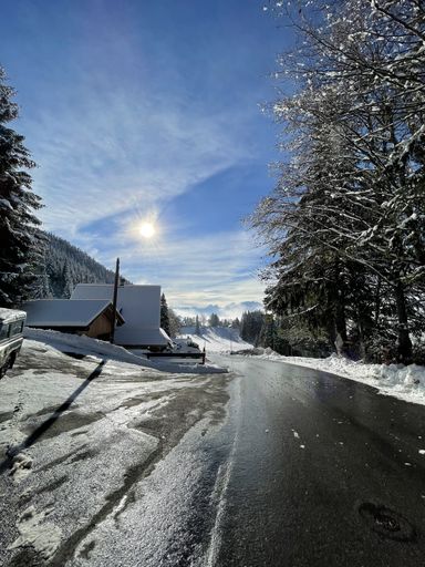 A vertical shot of winter in Orgevaux, Vallon de Villars the Swiss alps, Switzerland