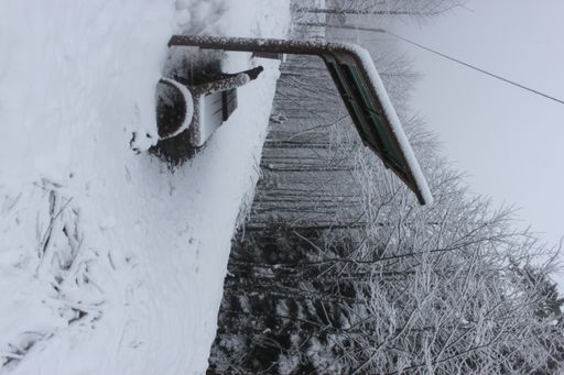 A vertical shot of a snow-capped bench with a roof near the forest on a gloomy winter day