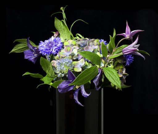 A bunch of hydrangeas and cornflower with ;eaves in a black vase