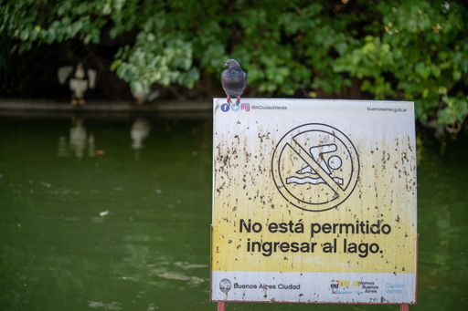 Selected focus of sign with the inscription "It is not allowed to enter the lake" with a little bird perched on it and in the background the lake