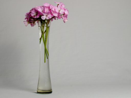 A closeup shot of pink flowers put in a glass vase on a gray background