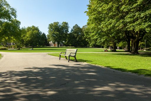 A long shot wooden bench  along a concrete path in a park surrounded by trees in Rotterdam, The Netherlands