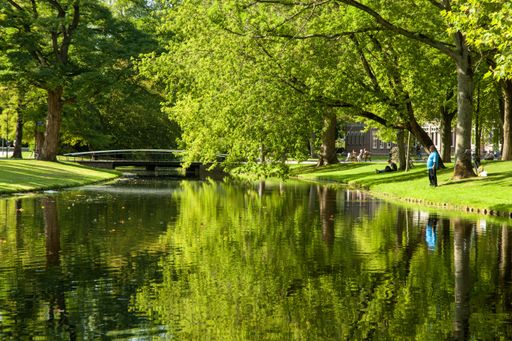 A long shot of a pond set in a park with reflections of trees around it