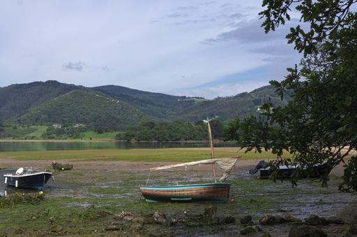 A closeup shot of boats in the lake covered in moss with hills in the background