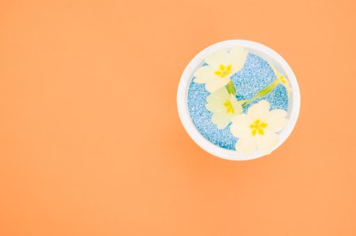 An overhead shot of yellow flowers in a pot of blue sand on an orange background