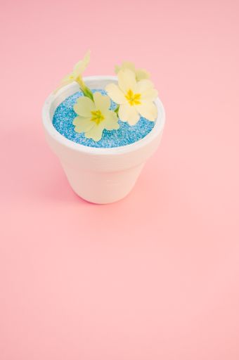 A vertical shot of yellow flowers in a pot of blue sand on a pink background