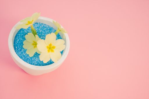 A closeup shot of yellow flowers in a pot of blue sand on a pink background