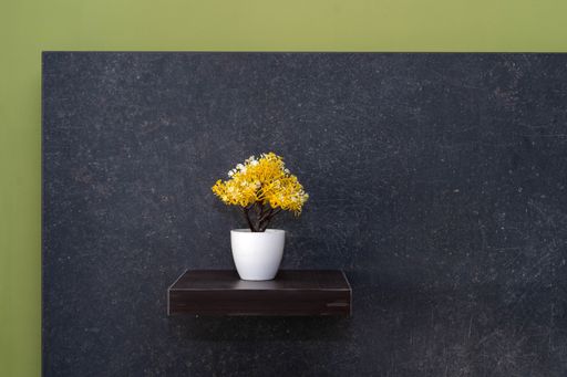 A closeup shot of a flower in the pot on the shelve hanging on the black wall