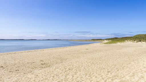 An empty calm white sand beach under the clear blue sky
