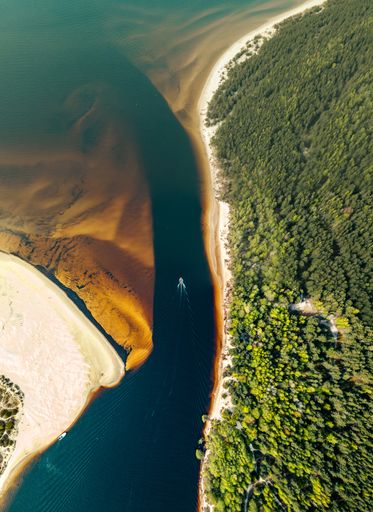 A vertical aerial view of a speedboat sailing along the river on the shore of golden sand