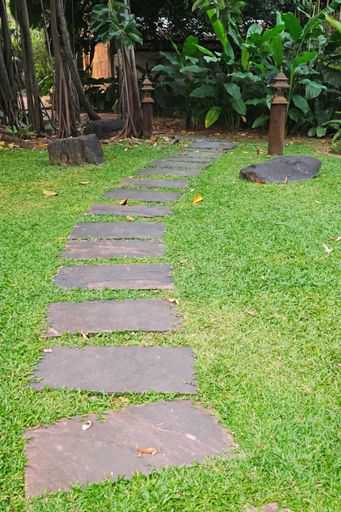 Path of stones in the garden, Chiang Mai Thailand.