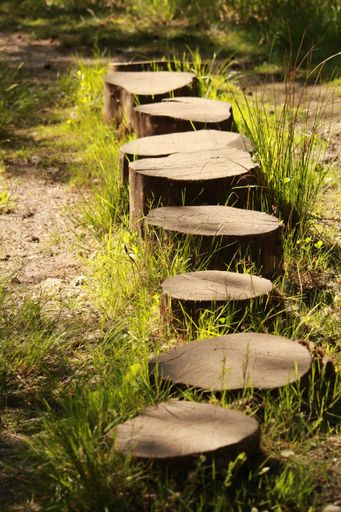 A vertical shot of stumps of freshly cut trees in a green forest on a sunny day