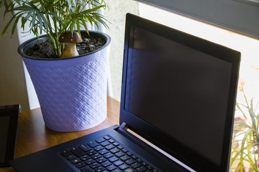 An office workspace with a laptop and a houseplant on a table