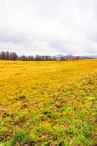 A vertical shot of golden fields full of bare trees and mountains in the background under a cloudy sky