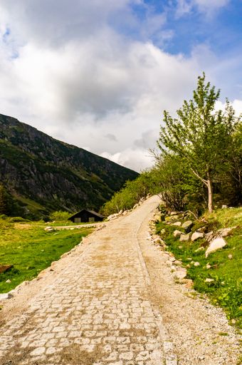 A vertical shot of a pathway surrounded by trees with the mountains in the background