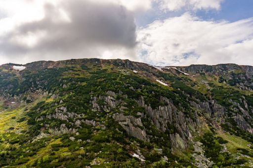 A mesmerizing view of the rocky mountains covered by trees on a cloudy day