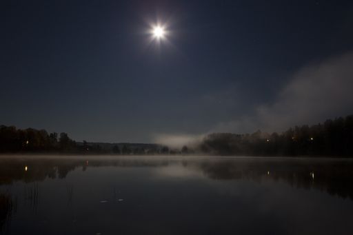 A beautiful view of a lake with the reflection of the moon and trees at nigh