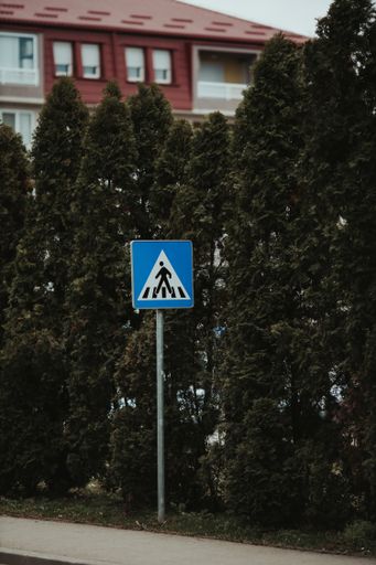 A closeup shot of a pedestrian crossing sign