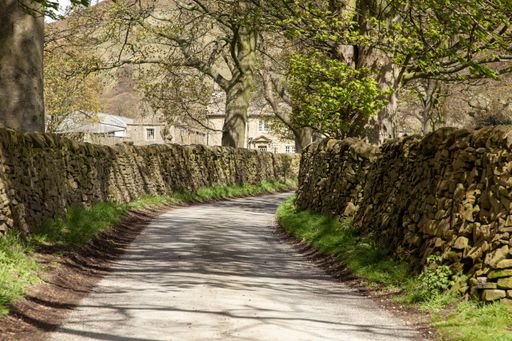 A walking trail surrounded by rocks and trees under the sunlight in the Peak District in the UK