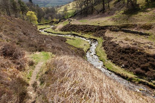 A small river surrounded by hills covered in greenery under the sunlight in the UK