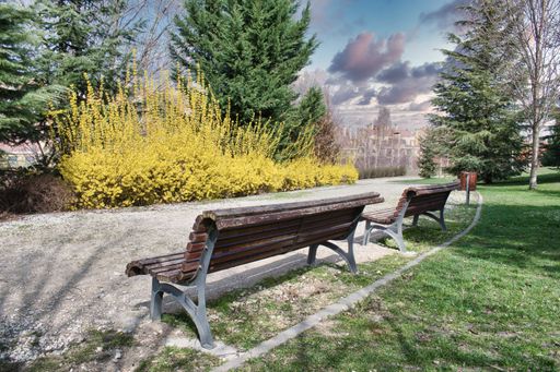 A closeup shot of old wooden benches in the park under a cloudy sky