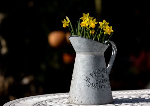 A closeup shot of yellow Daffodils in a decorative pot