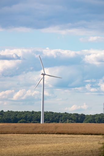 A vertical shot of a wind turbine in a field on a cloudy day