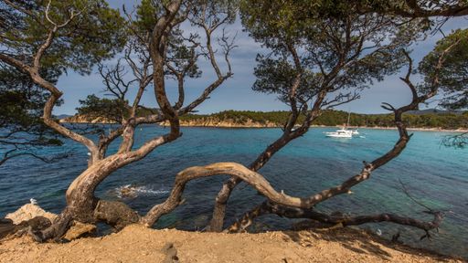 The sea surrounded by beaches covered in greenery under the sunlight at daytime