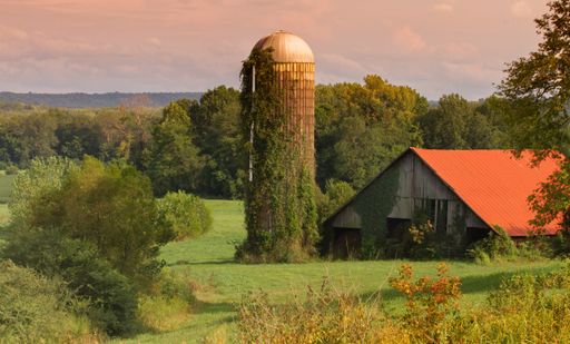 An old barn with a tall silo on the grassy field in the countryside in Summertown, United States