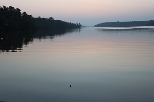 A beautiful view of the trees reflected in the lake at sunset
