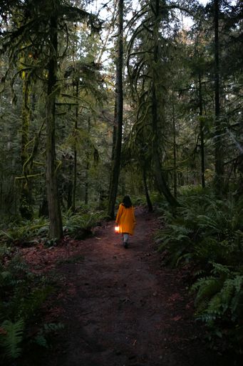 A vertical shot of a female holding a lantern and walking through the rainforest