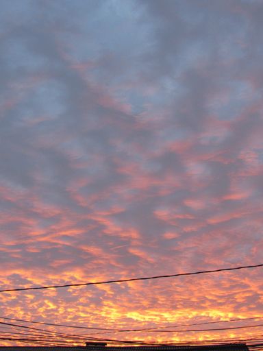 A vertical shot of a stunning golden sunset sky with orange clouds and wires