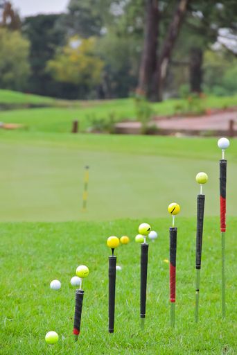 A vertical shot of golf cou