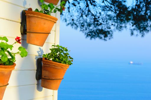 A closeup shot of pots with flowers hanged on a wall of a house with the sea in the background
