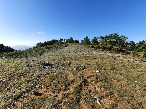 A beautiful view of the landscape of a hill covered in a forest under the clear blue sky