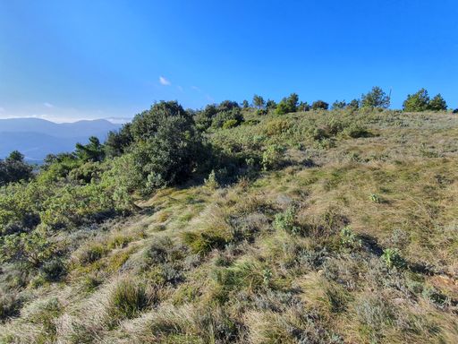 A beautiful view of the landscape of a hill covered in a forest under the clear blue sky