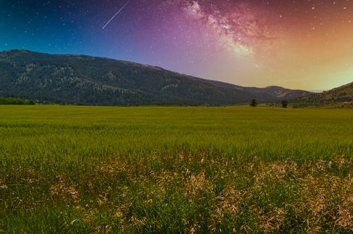 A shot of a beautiful colorful sky full of stars of the Milky Way galaxy in the field full of grass.