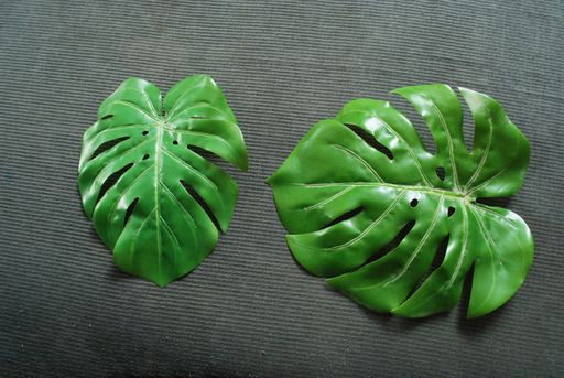 large trendy tropical green leaves isolated on grey textured fabric background ,nature and environment concept,