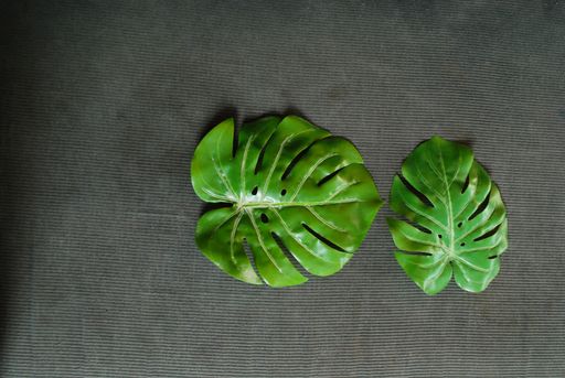 large trendy tropical green leaves isolated on grey textured fabric background ,nature and environment concept,studio