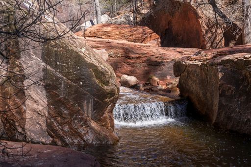 The Left Fork of North Creek in Zion National Park