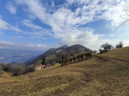 A landscape of hills covered in trees and grass under the sunlight and a blue cloudy sky in the countryside
