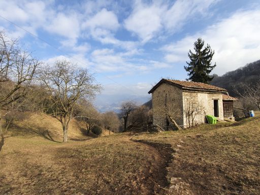 A barn on a hill covered in the grass and trees under a blue cloudy sky in the countryside