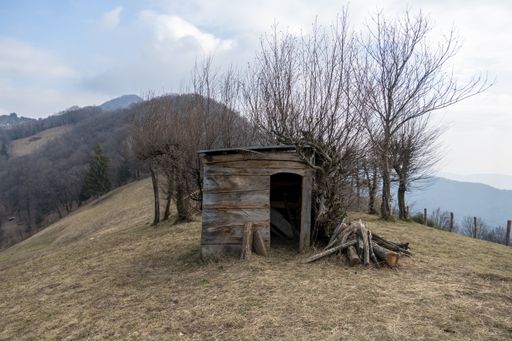 A closeup shot of an old wooden shed at the top of a hill surrounded by bare trees in autu